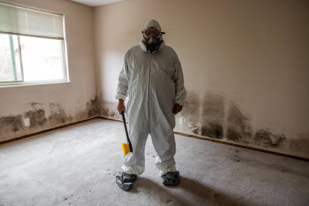 Best Residential Mold Inspection & Testing  in Chevy Chase View, MD